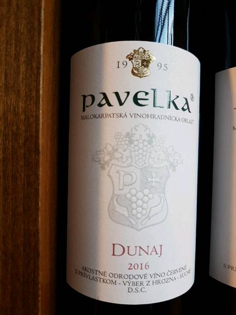 Pavelka Dunaj 2016